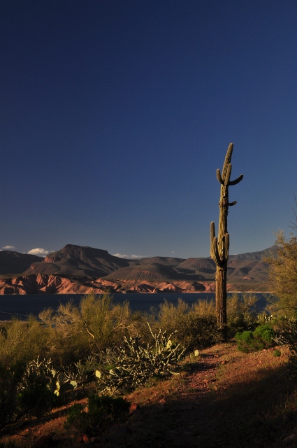 Cottonwood Canyon Trail 